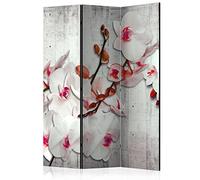 murando - Paravent Décoratif Intérieur Unilatéral, Nature, 135x172 cm | 3 Panneaux, Toile Imprimée, Séparation de Pièce, Impression sur une Seule Face, Pliable, Cadre en Bois, Moderne pour Chambre
