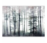 murando PREMIUM Papier peint Foret Arbres 400x280 cm Décoration Murale XXL Poster Tableaux Muraux Tapisserie Photo Trompe l'oeil Beton comme peint b-C-0986-a-a