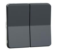 Mureva Styl - Double bouton poussoir - composable - IP55 - IK07 - gris - SCHNEIDER ELECTRIC - MUR35326