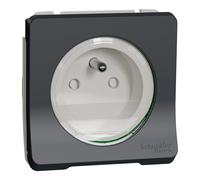 Mureva Styl - Prise de courant 2P+T à vis - composable - IP55 - IK08 - gris - SCHNEIDER ELECTRIC - MUR38030