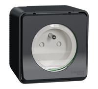 Mureva Styl - Prise de courant 2P+T à vis - saillie - IP55 - IK08 - gris - SCHNEIDER ELECTRIC - MUR36030