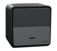 Mureva Styl - Va et vient lumineuxLED - saillie - IP55 IK08 - connex auto - gris - SCHNEIDER ELECTRIC - MUR35024