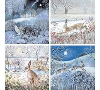 Museums & Galleries Boîte de 20 belles cartes de Noël caritatives - « Jardin d'hiver » - 20 cartes, 5 de chacun des 4 motifs, 13.5 x 13.5 x 6.5cm