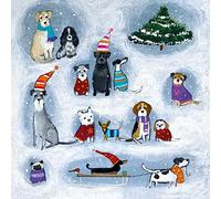 Museums & Galleries Lot de 8 cartes de Noël caritatives avec chien - Pooches festifs dans la neige - Écologiques et recyclables