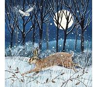 Museums & Galleries Lot de 8 cartes de Noël caritatives - Lièvre et hibou enneigés au clair de lune - Écologiques et recyclables