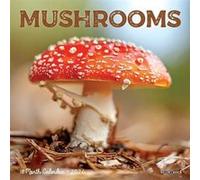 Mushrooms 2026 7 X 7 Mini Wall Calendar - Willow Creek Press - Willow Creek Press Calendars - Livre en Anglais - Book Willow Creek PressWillow Creek Press (Auteur)