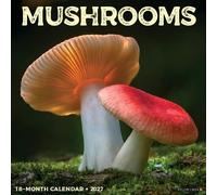 Mushrooms 2027 Wall