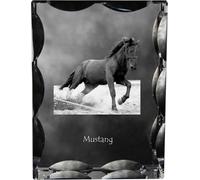 Mustang - crystal with a picture of a horse, glass statuette with a picture, unique frame with a picture from Art-Dog brand