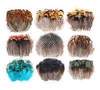MWOOT 9 Styles Assorted Crafts Feathers, 180Pcs DIY Dreamcatcher Crafts Art Decor Feathers, DIY Earring Wings Carnival Party Mask Activities Project Accessories Small Feather - Mixed Green Blue Brown