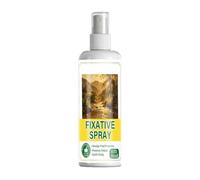Mwqpgyh Fixative Spray pour Pastels | 120ml Protecteur de Peinture,Spray Fixatif pour Pastels | Acryliques Gouache Fusain Huiles Artisanat Peinture Décoration Murale