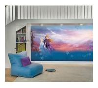 MY AGENCIES Papier peint panoramique auto-adhésif La Reine des Neiges Anna et Elsa - 320 cmx 183 cm Multicolors G