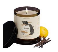 MY JOLIE CANDLE - Bougie Parfumée Signe Astrologique - Verseau du 21 janvier au 18 février - Cadeau de Noël et Anniversaire - Cire à base végétale