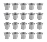 Myqqhbs Lot de 20 mini seaux en métal portables pour pots de fleurs - Jolie boîte à bonbons pour fête de mariage, décoration de la maison