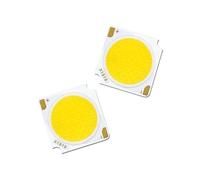 MZTZHVNVGK Lot de 2 LED COB 10 W, 20 W, 30 W, 40 W, 50 W, DC30-33 V, puces Bridgelux 19 x 19 mm, accessoires for source lumineuse, spot LED, downlight, DIY(6000K,30W 900mA)