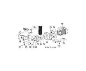 N°10 - Garniture mécanique de pompe Hayward Max Flo