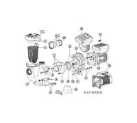 N°11 - Joint de corps de pompe Hayward Max Flo II