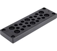 Plaque de traversée de câble LappKabel SKINTOP® MULTI Version 2 52220073 Ø de passage max. 16 mm Polycarbonate 1 pc(s