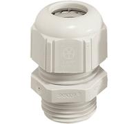 N/A LAPP SKINTOP® STR-M16 53111510 M16 Polyamide gris clair (RAL 7035)
