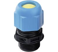 N/A Wiska ESKE/1-L-i 25 10103390 ATEX M25 Polyamide noir (RAL 9005), bleu clair (RAL 5012) 1 pc(s)