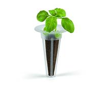 N8WERK Kit de rechange pour système de culture - Lot de 28 éponges et 28 pots de graines - Systèmes de culture hydroponique - Pour la culture de légumes, de fleurs et d'herbes
