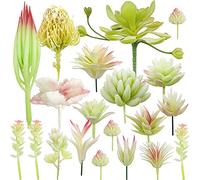 NA Woohome 20 PCS Artificielles Plantes Succulentes Blanc Faux Fleur Succulentes Artificielles Petit Plantes Succulentes Artificielles Décoration pour La Maison Jardin Intérieur Décoration