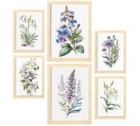 Nacnic Fleurs de lys Affiches. Illustrations Nature et Botanique en Couleur avec des Thèmes Floraux sur des Arrière-plans Blancs Purs. Design d'intérieur et décoration. A4 & A3 Cadres en bois.