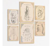 Nacnic Lot De 6 Affiches Anatomie Vintage Posters Médicaux Et Tableaux Avec Bassin Os Du Pied Main Humaine Colonne Vertébrale Côtes Sternum Os Du Visage Décoration Murale A3 & A4 Cadre Noir