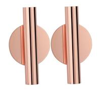 Naisicatar 2pcs Vases murales Tube vases métalliques suspendues Fleurs séchées présentant du Support métal Pas Besoin perforer Les Trous séchage du Support Plante décoration muraleor Rose