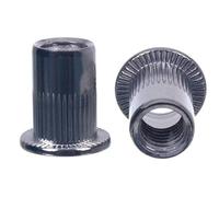NAJDER Écrou à Rivet Acier Inoxydable Cranté M6, Écrous à Sertir Aveugles à Tête Plate M6x14,5 mm, 100 Pièces, Assortiment de 100 Écrous à Riveter Fileter, A2-AISI 304
