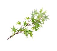 Naroote Branche de Feuilles D'érable Artificielles, Conception Simulée Réaliste pour la Décoration de la Maison, Paysage de Jardin, 83cm (Green)
