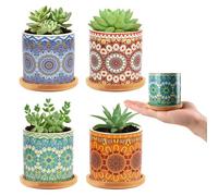 Nasxkji Lot de 4 petits pots de plantes succulentes avec plateau en bambou de 7,3 cm pour décoration intérieure, mini plantes et semis