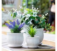 Nattol Lot de 3 Pots de Fleurs en céramique avec soucoupes, Pots de Fleurs Ronds Modernes en céramique avec Texture à Rayures Blanches, Petite à Moyenne Taille