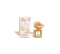Natur Botanic Rafraîchisseur d'air parfumé à l'orange et à la cannelle 90ml