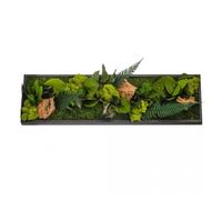 Naturalys - Tableau végétal Mural stabilisé 70cm Noir