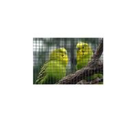 Nature - Grillage métallique soudé galvanisé plastifié Metalex®, maille carrée 12,7 mm, vert, dimension 0,5 x 3 m - Multi-usages