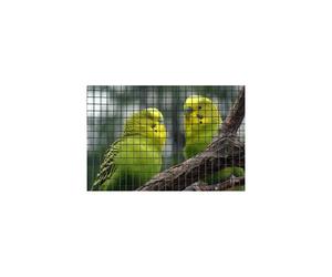 Nature - Grillage métallique soudé galvanisé plastifié Metalex®, maille carrée 12,7 mm, vert, dimension 0,5 x 3 m - Multi-usages