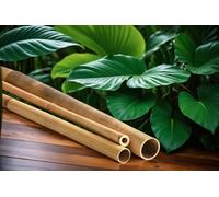 Nature LOUNGE Golden Aurea Lot de 5 tiges en bambou Ø 3-4 cm x L : 200 cm