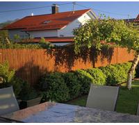 Nature-Lounge Tapis en osier - Tapis de protection contre le vent et les regards indiscrets en osier 100 cm 300 cm