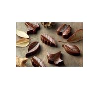 NATURE Moule Décoration Feuille Chocolat en silicone SilikoMart