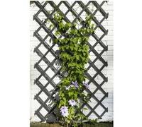 Nature Treillis de jardin 50x150 cm bois anthracite, filet de jardin,,, support de plantes G