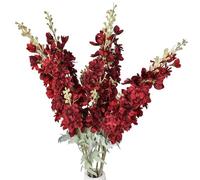 NatureMan Lot de 5 fleurs de delphinium Ajacis artificielles à tige longue en soie pour table, cuisine, maison, jardin, fête, mariage (rouge vin)