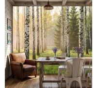 NAWVNMI Papier Peint Panoramique Soie 300 x 210cm - Photographie De Forêt - Poster Mural Forêt De Bouleaux pour Tête de Lit, Salon, Chambre - Fresque Murale Décoration