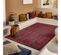 Nazar Tapis Salon Multicolore Rectangulaire, Motif Géométrique, Doux pour Chambre et Couloir, Crème, Grand (567 Rouge, 120x160 cm)