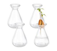 nbeads 4 Pcs Vase de Démarrage pour Graines D'Avocat, Pot de Culture en Verre Transparent pour Avocats Vases de Germination pour Graines de Gland Herbes Bulbes Plantes D'Intérieur Jardinage