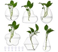 nbeads 6 Pcs 6 Styles Pot de Fleurs Mural, Station de Propagation Jardinière Murale Vase Suspendu en Verre pour Plantes D'Intérieur Décoration de Maison Salon Bureau