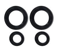 NbgrvB Joint d'huile noir pour bague compatible avec les modèles 040 041 AV 040AV 041AV, joint anti-fuite haute efficacité pour l'entretien de la tronçonneuse, kit de pièces de rechange facile à