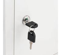 NbgrvB Serrure de placard en alliage de zinc rouge et vert, excentrique de | Core Lock Cylindre de classement armoire tiroir armoire armoire métal pour serrure de remplacement avec 2, argent