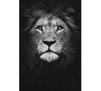 NBHHDH Impression sur Toile Nordique Toile Art Peinture Noir Blanc Lion Imprimé Animal Mur Art Affiche Affiche Salon Décor À La Maison Peinture, 50 × 70 Cm sans Cadre