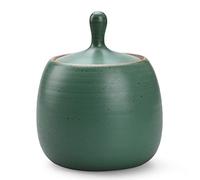 NCQIXIAO Récipient de cuisine rétro en céramique avec couvercle hermétique en silicone pour thé, café, noix, herbes, épices, sucre (vert)
