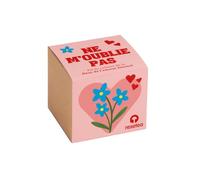 Ne M'Oublie Pas | Kit de Culture Myosotis | Graines + Pot en Fibre Naturelle + Substrat | Cadeau Romantique - Resetea